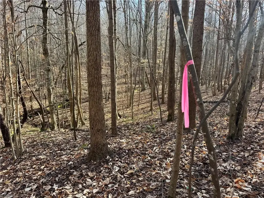 0 Asbury Road, Seagrove, NC 27341 - Image #2