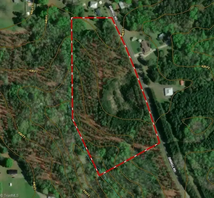 182 Dibrell Road, Pelham, NC 27311 - Image #2