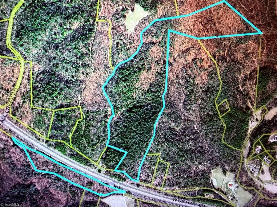 TBD W Us Highway 421, Purlear, NC 28665 - Image #2