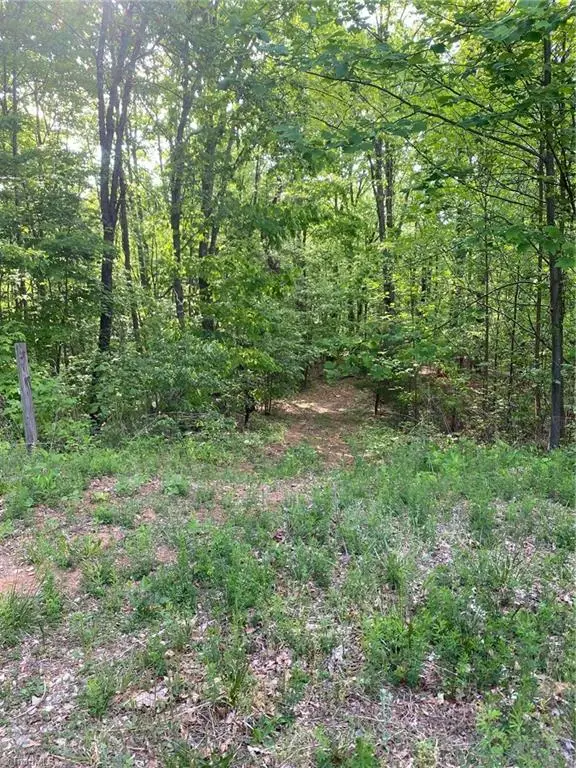 00 Angle Street, Purlear, NC 28665