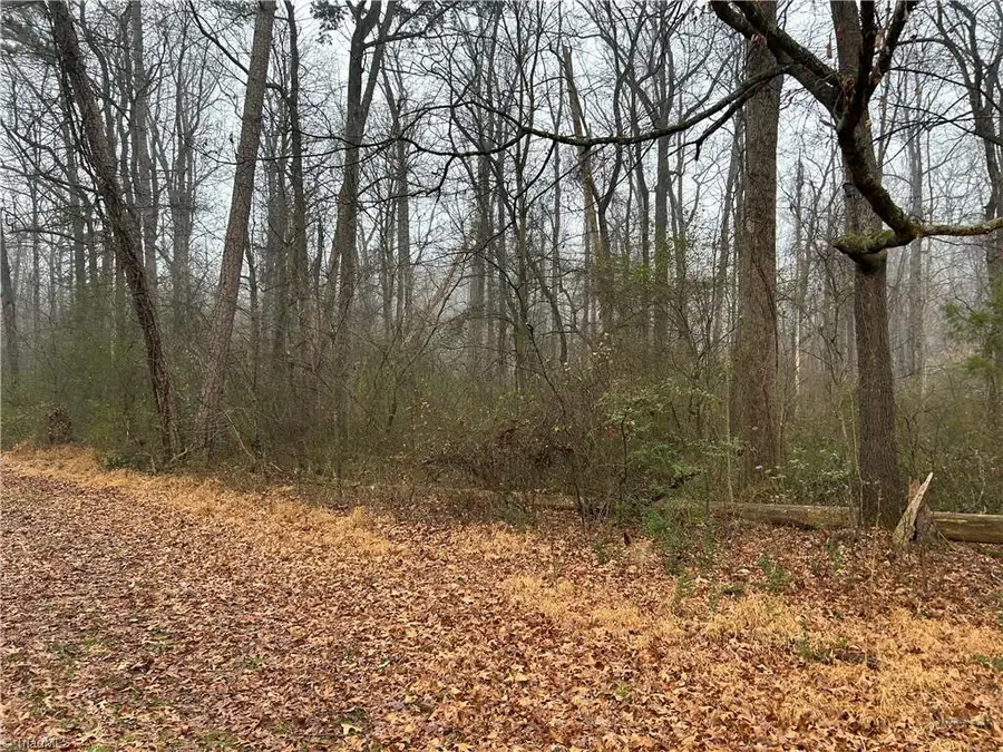 0 Progress Lane, Yadkinville, NC 27055 - Image #2