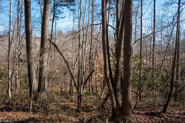Lot 5 Morosko Lane, Pilot Mountain, NC 27041