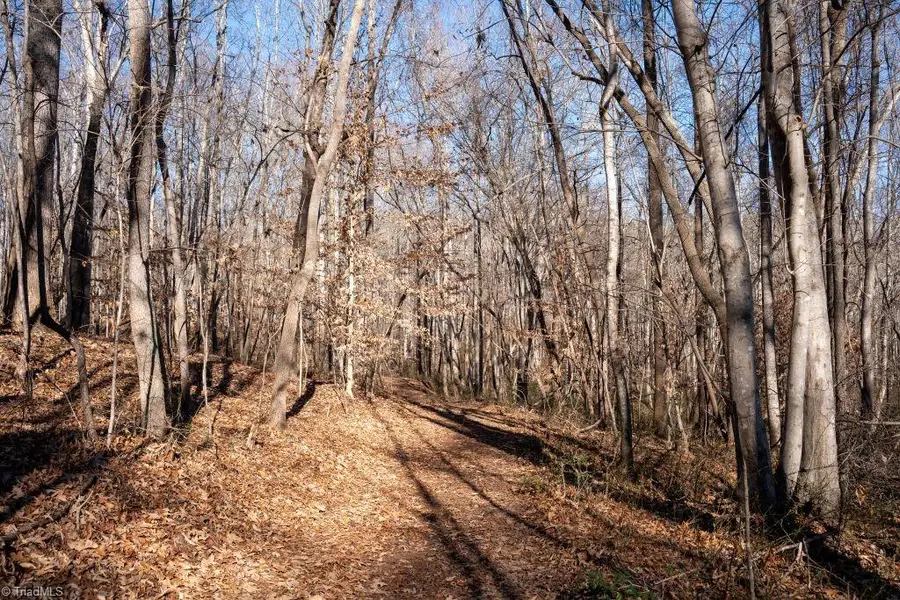 Lot 5 Morosko Lane, Pilot Mountain, NC 27041 - Image #2