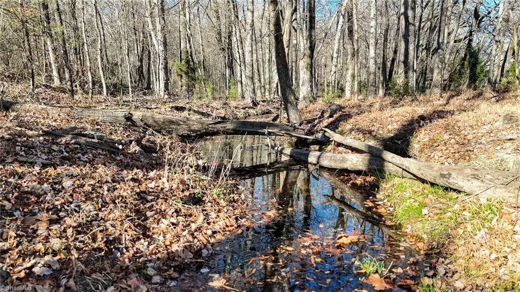 6600 Phillippi Road, Liberty, NC 27298 - Image #1