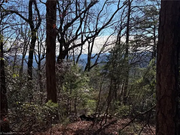 Lot 27 Bobcat Mountain Road, Purlear, NC 28665