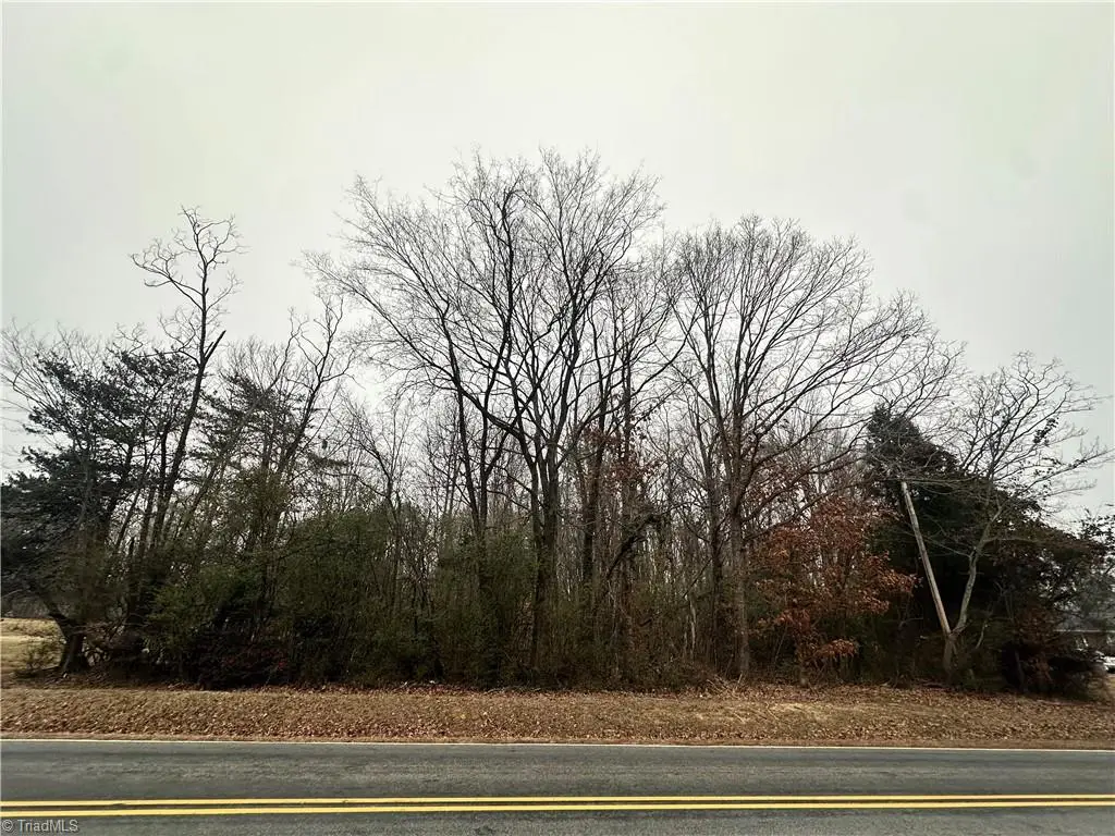 00 Priddy Loop, Stoneville, NC 27048 - Image #1