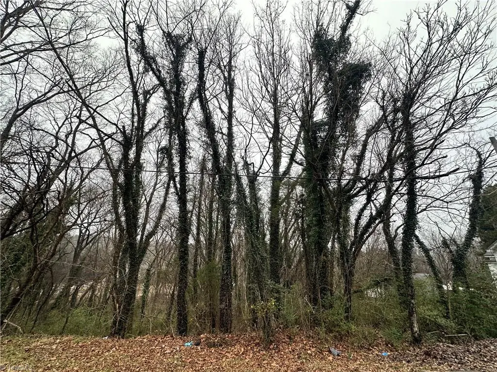 00 Short Morgan Street, Eden, NC 27288 - Image #1