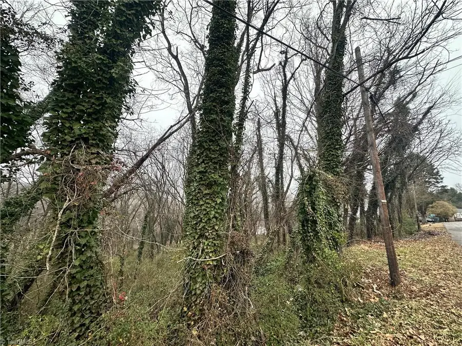 00 Short Morgan Street, Eden, NC 27288 - Image #2