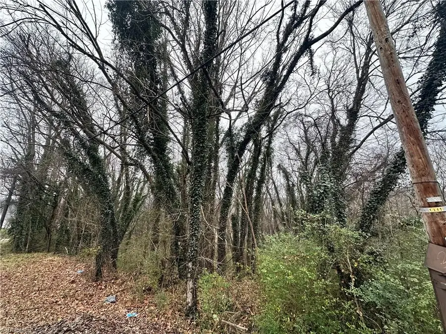 00 Short Morgan Street, Eden, NC 27288 - Image #3