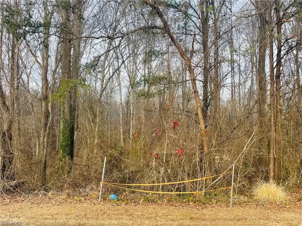 000 Union Hill Road, Thurmond, NC 28683 - #1