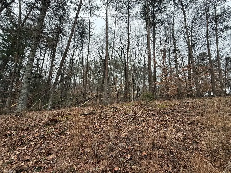 Lot 44 Creekside Way Road, Pinnacle, NC 27043 - Image #3
