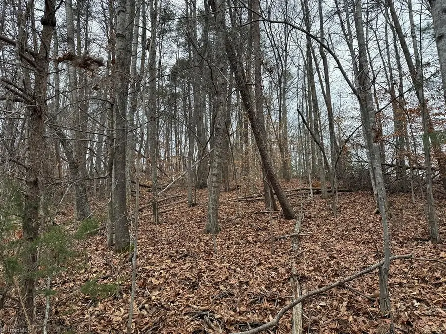 Lot 40 Creekside Way Road, Pinnacle, NC 27043 - Image #3