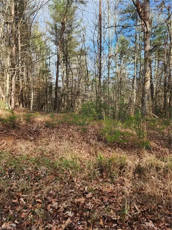 0 Rainbow Trout Drive #14, Hays, NC 28635 - Image #1