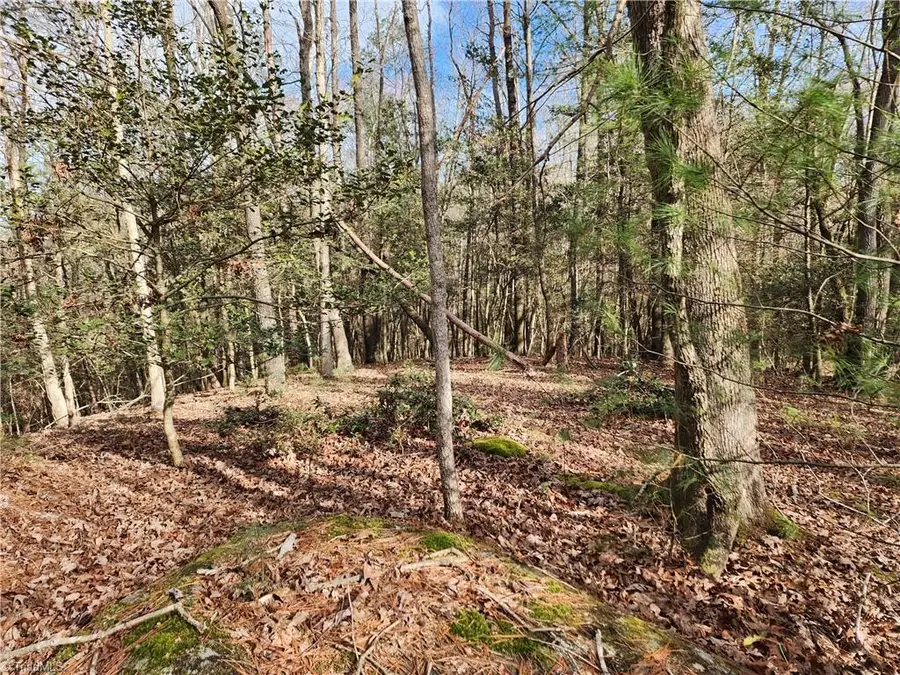 0 Rainbow Trout Drive #14, Hays, NC 28635 - Image #3