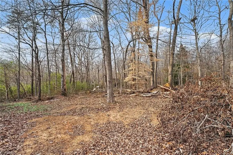 0 York Lane, Franklinville, NC 27248 - Image #3