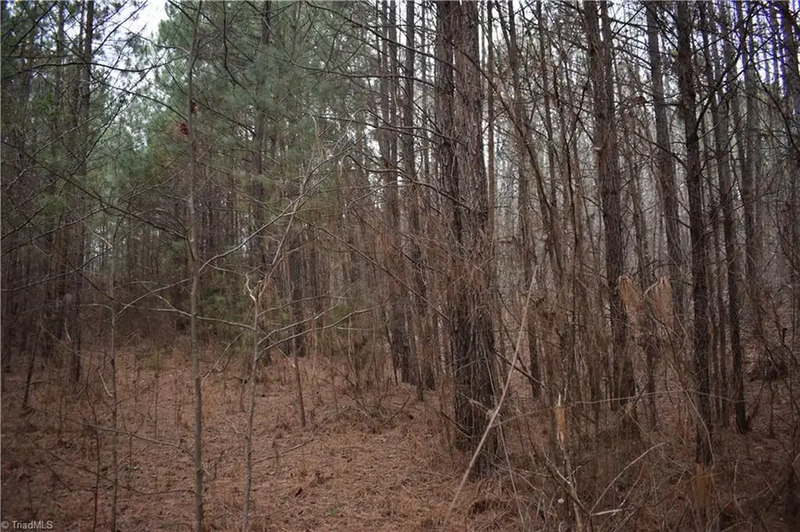 257 Piney Grove Church Road, Siler City, NC 27344 - Image #2