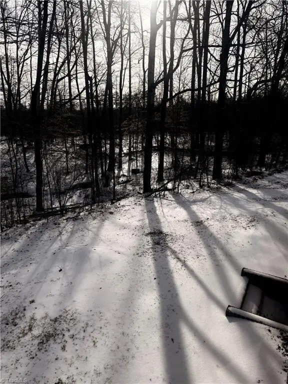 2969 Piney Mountain Road, Walnut Cove, NC 27052 - Image #3