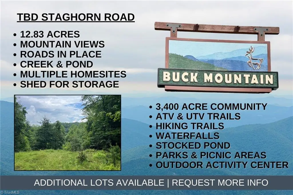 TBD Staghorn Road, Purlear, NC 28665 - #1