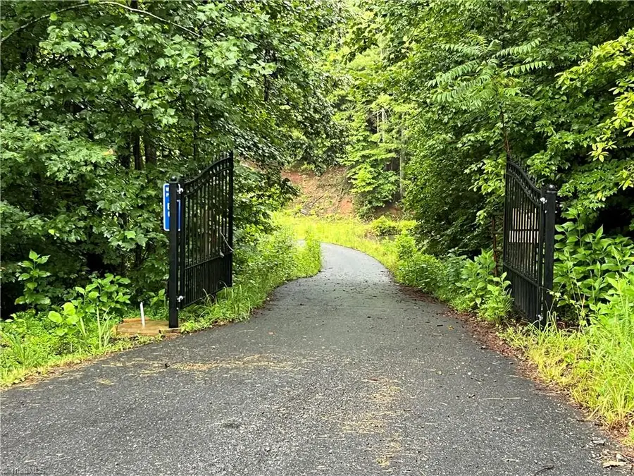 TBD Staghorn Road, Purlear, NC 28665 - #3