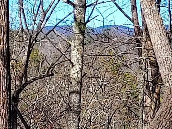 5354 West Ridge Road, Ferguson, NC 28624