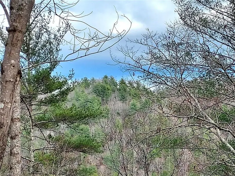 5354 West Ridge Road, Ferguson, NC 28624 - #3