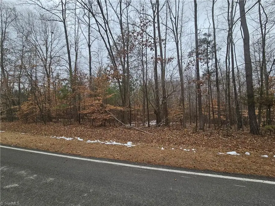 0 Drama Road, Snow Camp, NC 27349 - #3