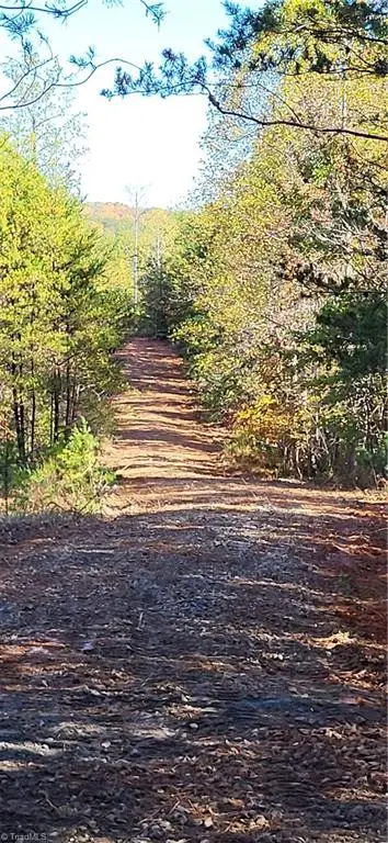 347 Wray Road, Stoneville, NC 27048 - #1