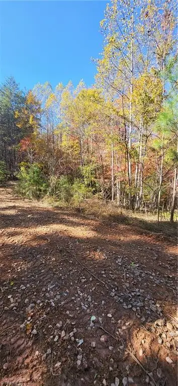 347 Wray Road, Stoneville, NC 27048 - #2