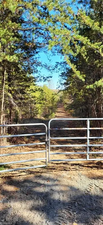 347 Wray Road, Stoneville, NC 27048 - #3