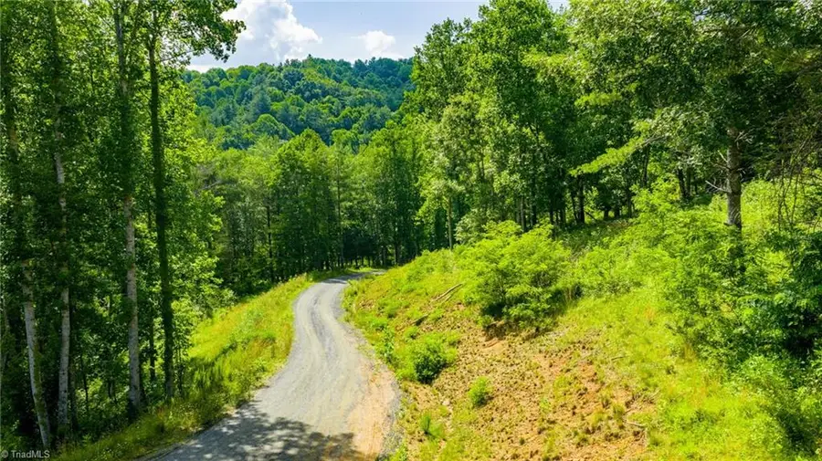 Lot 3 North Fork New River Road, Lansing, NC 28643 - #3