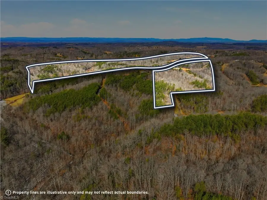 1324 Hardie Mabe Road, Danbury, NC 27016 - #2