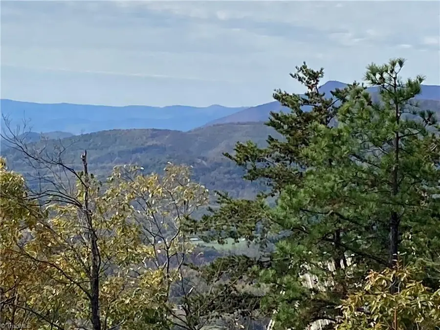 430 Reflections Point Trail, Fancy Gap, VA 24328 - #3