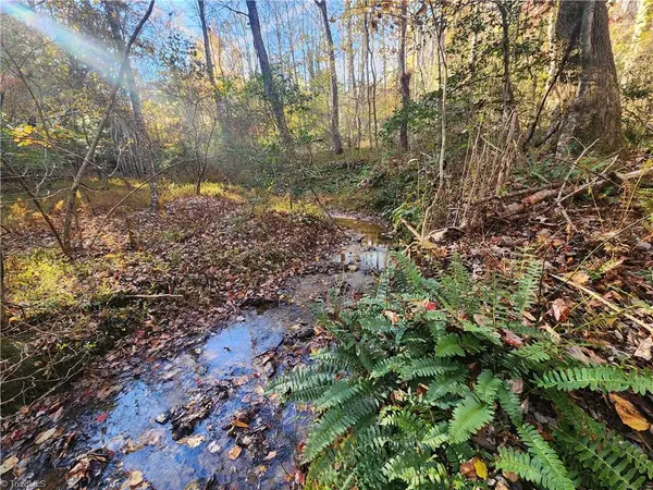 tbd Sable Avenue, Mount Airy, NC 27030