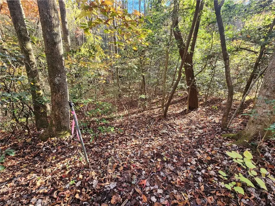 tbd Sable Avenue, Mount Airy, NC 27030 - #2