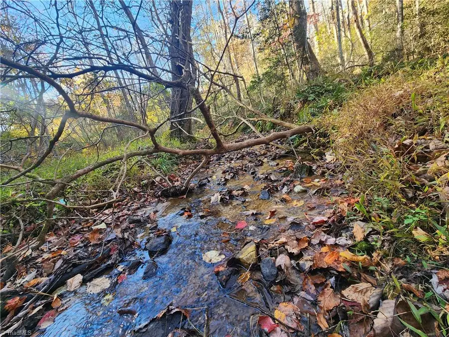 tbd Sable Avenue, Mount Airy, NC 27030 - #3