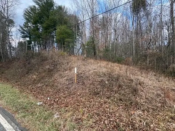 Lot 22 Austin Traphill Road, Traphill, NC 28685