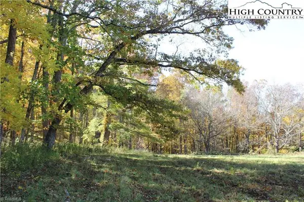 TBD Mcneill Road, Lansing, NC 28643