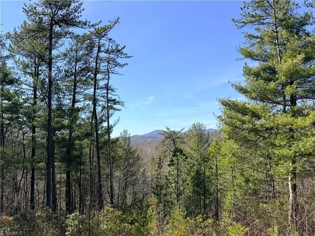 TBD (Lot 18) Hidden Creek Road, Deep Gap, NC 28618 - #1