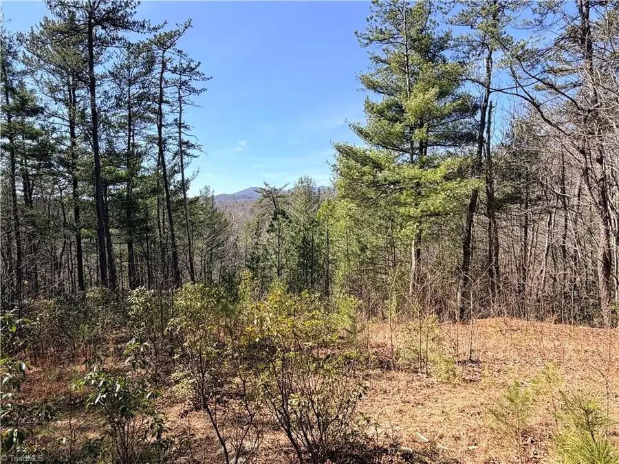 TBD (Lot 18) Hidden Creek Road, Deep Gap, NC 28618 - #2