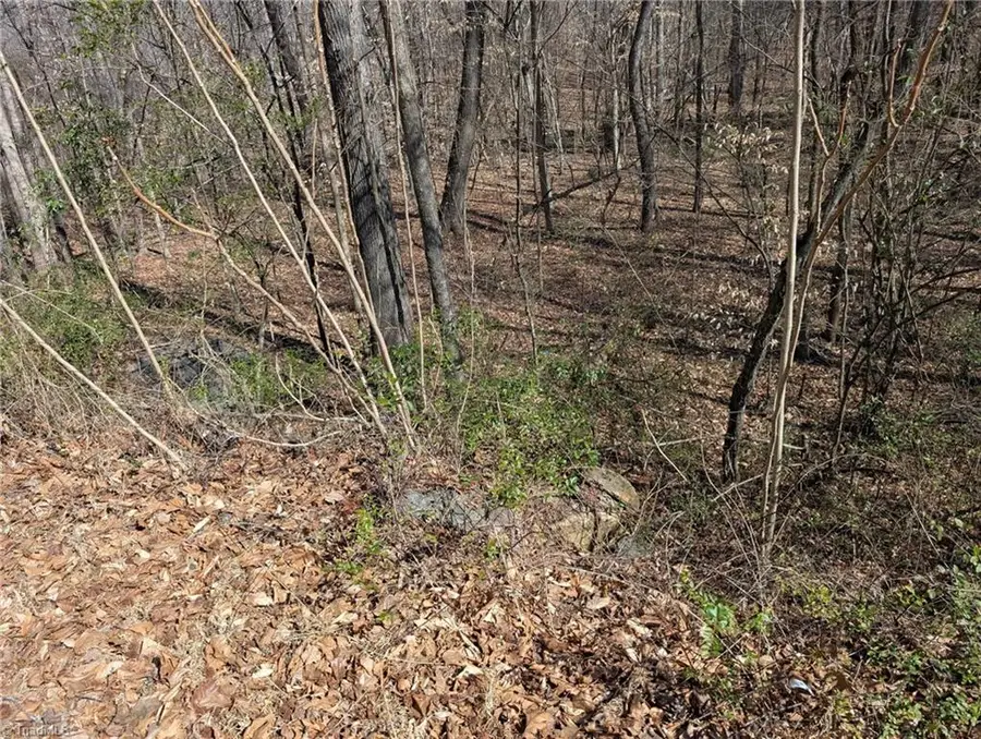 0 Browers Chapel Road, Asheboro, NC 27203 - #2