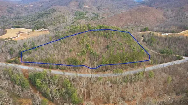 TBD S Nc Highway 16, Moravian Falls, NC 28654