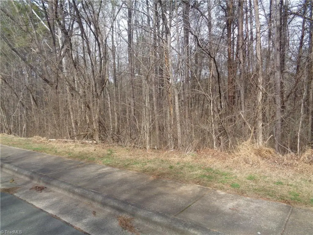 89 lot Haynoke Drive, Graham, NC 27253 - #1