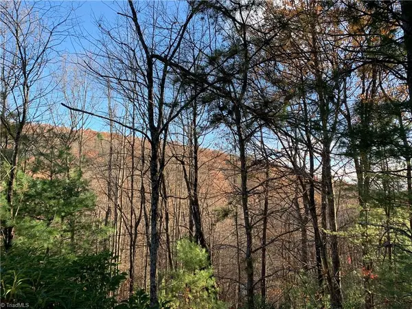 TBD (Lot 1) Dugger Firetower Road, Lenoir, NC 28645