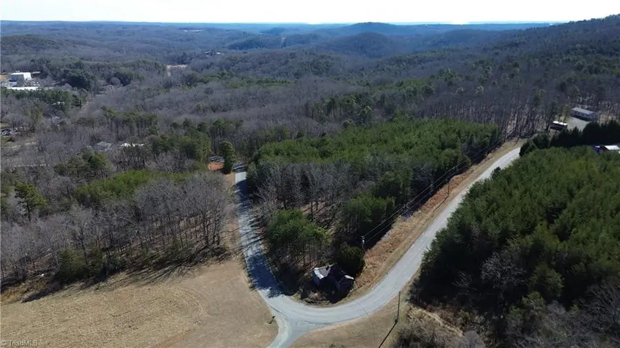 Tract H Hanging Rock Forest Road #H, Danbury, NC 27016 - #3