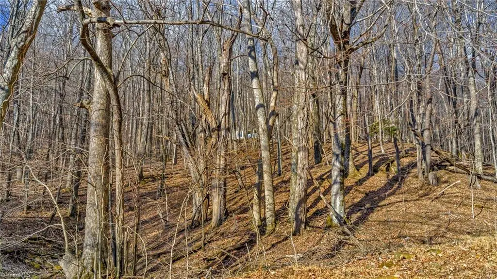 TBD 23 Locust Circle, West Jefferson, NC 28694 - #1