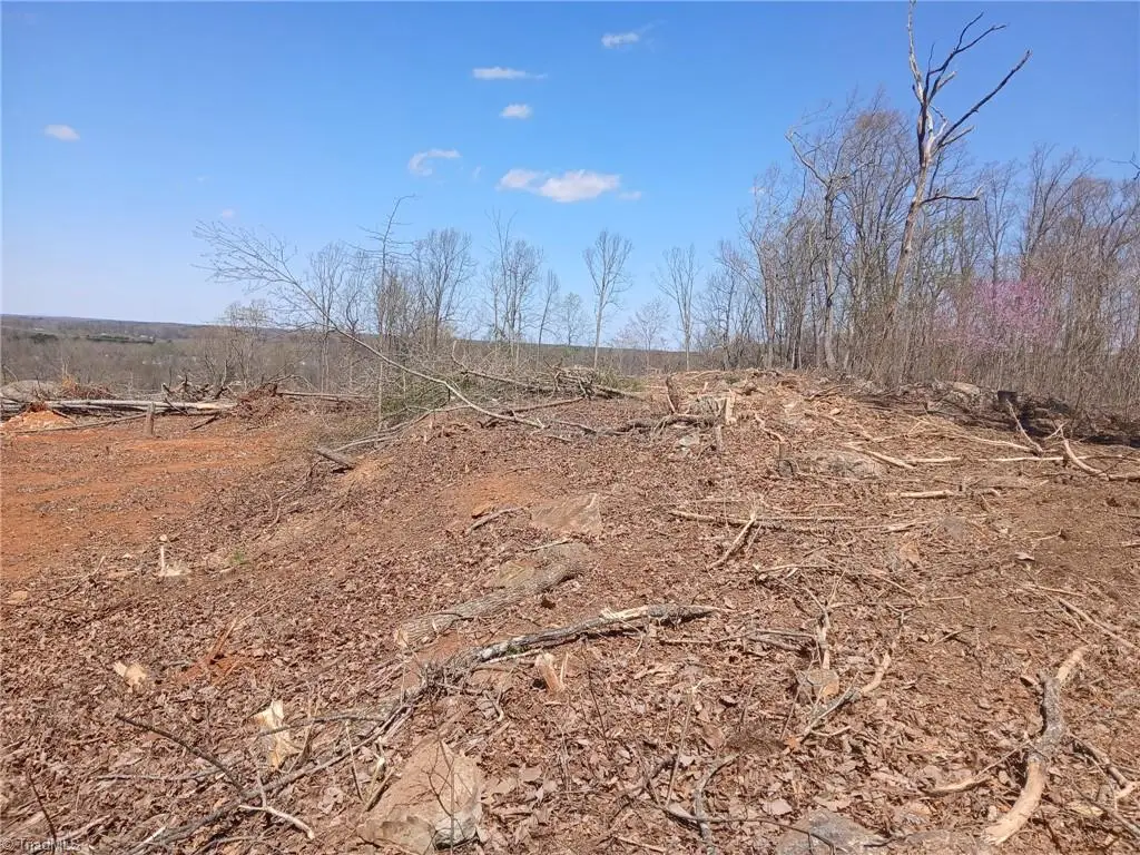 000 Holder Inman Road, Randleman, NC 27317 - #1