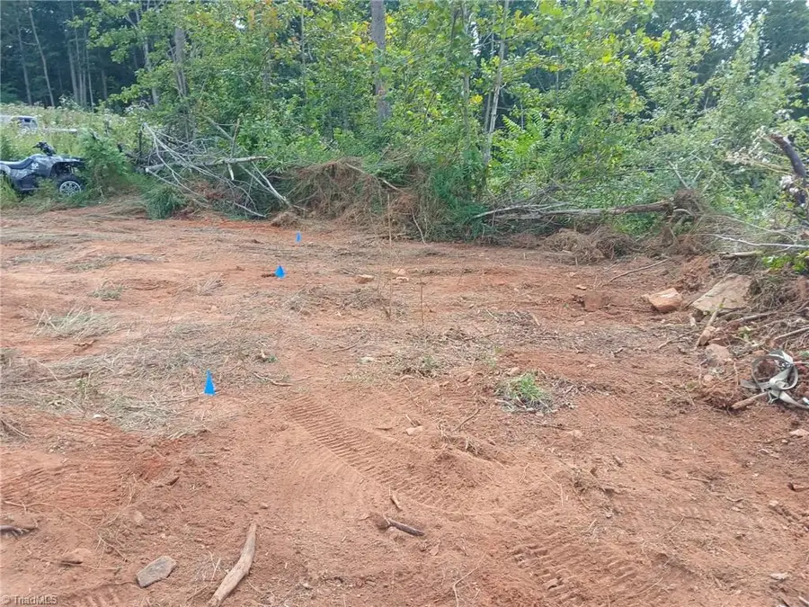 000 Holder Inman Road, Randleman, NC 27317 - #3