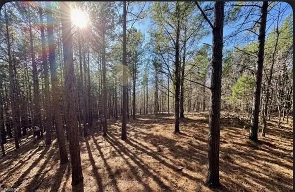 0 S Nc Highway 86, Prospect Hill, NC 27314