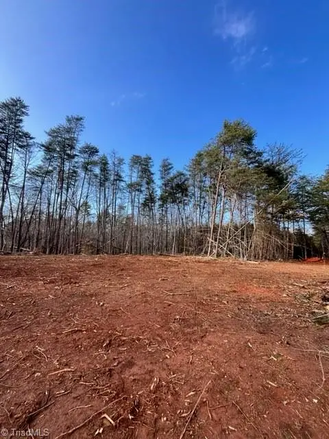 0 Mcdaniel Road, Pilot Mountain, NC 27041