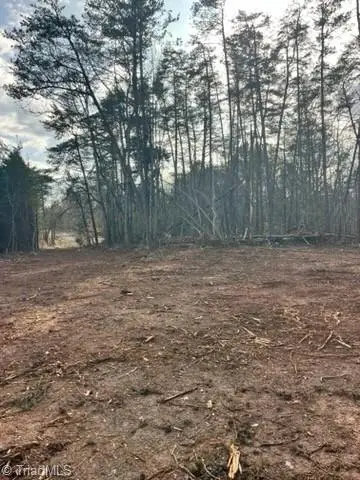 1506 Mcdaniel Road, Pilot Mountain, NC 27041 - #3